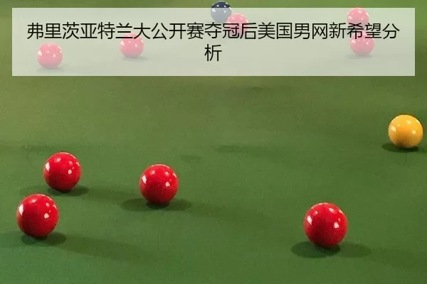 fu-li-ci-ya-te-lan-da-gong-kai-sai-duo-guan-hou-mei-guo-nan-wang-xin-xi-wang-fen-xi-3-194.jpg